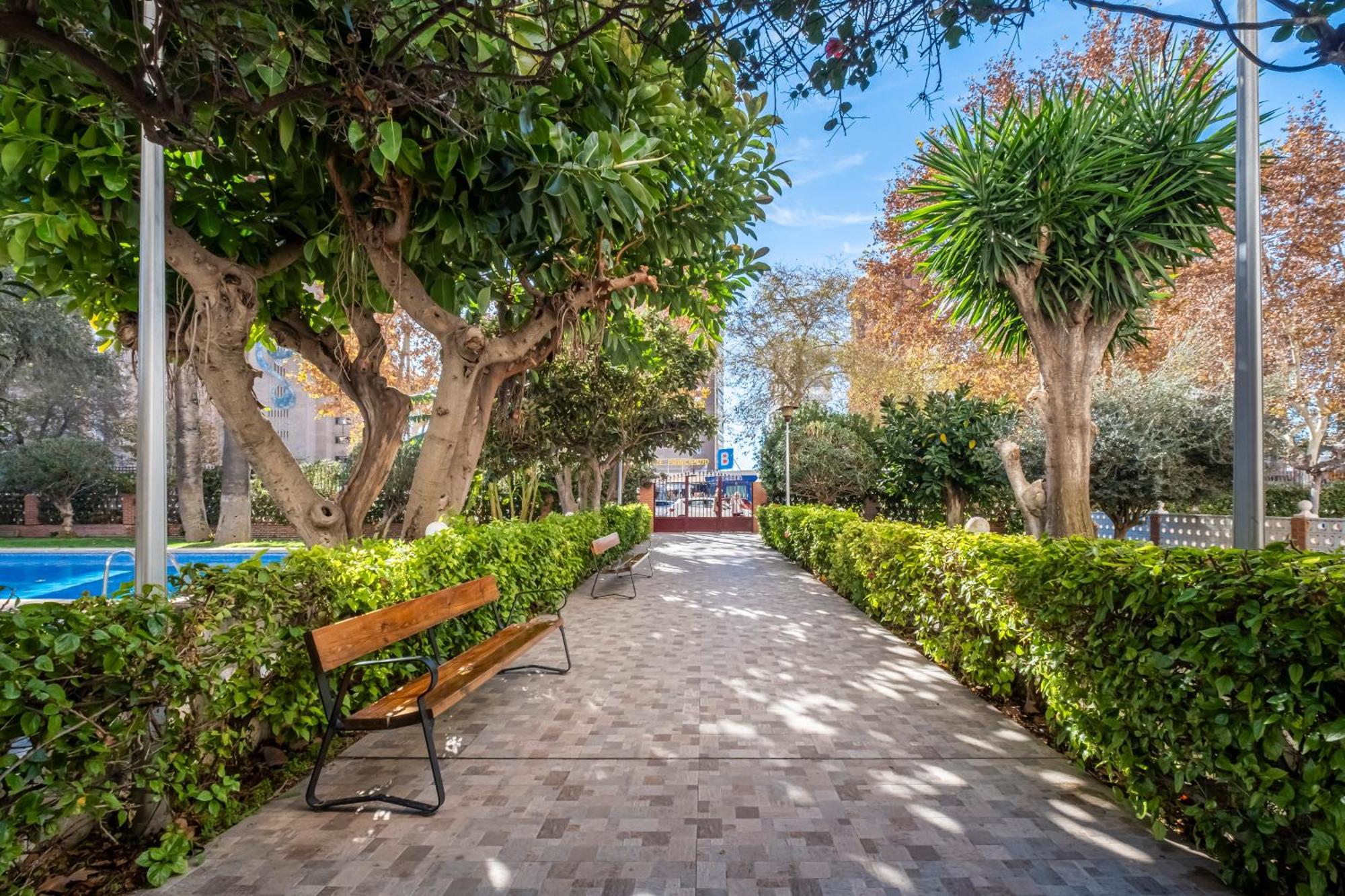Edimar 2-3 Apartment Levante Beach Benidorm Bagian luar foto